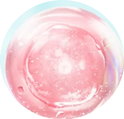 Cellulose Adhesive